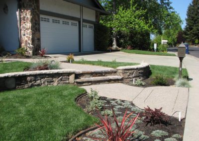 modern front yard with stone retaining wall and concrete pathway by residential landscape contractor