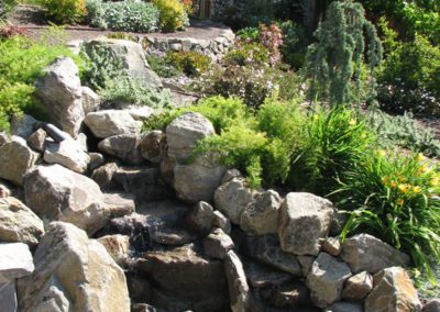 Landscape designer and contractor
