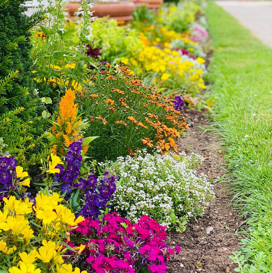 Dana Lund Landscaping and Hardscape