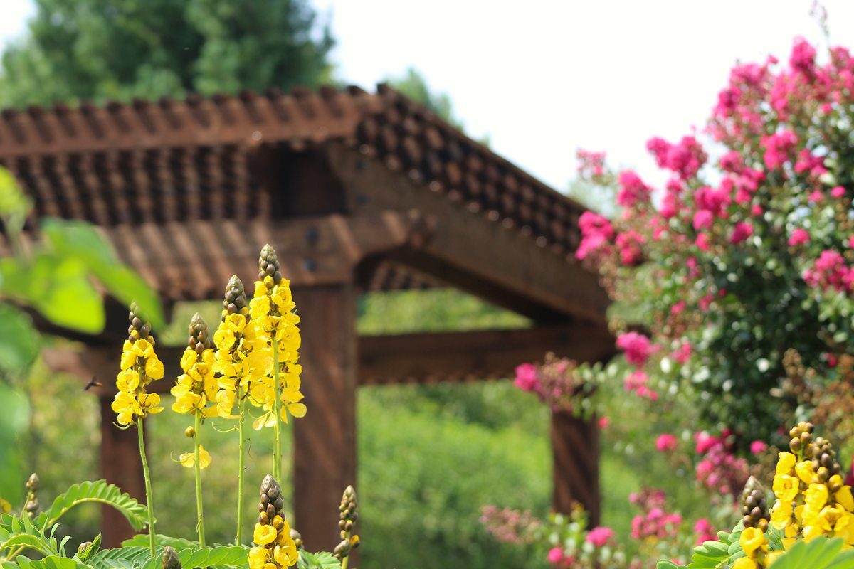 Landscape designer and contractor