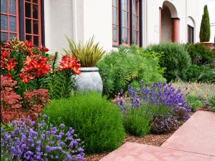 Landscape and garden